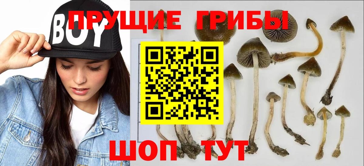 Галлюциногенные грибы MAGIC MUSHROOMS Кинешма
