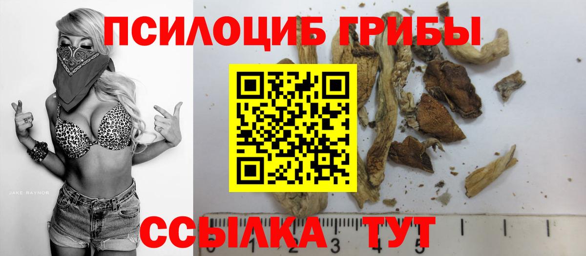 Галлюциногенные грибы GOLDEN TEACHER  Псилоцибиновые грибы Psilocybine cubensis  Кинешма  Вход с VPN 